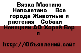 Вязка Мастино Наполетано  - Все города Животные и растения » Собаки   . Ненецкий АО,Хорей-Вер п.